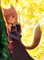 animal_ears brown_hair forest holo long_hair m-hit nature red_eyes spice_and_wolf tail wolf_ears // 809x1094 // 822.1KB