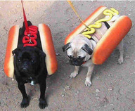 cool dog hotdog_bun // 399x328 // 35.5KB