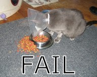 fail // 446x354 // 64KB