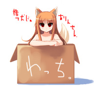 :< animal_ears box for_adoption girl_in_a_box holo in_container newhonpo nude red_eyes spice_and_wolf tail translated wolf_ears // 740x692 // 88KB