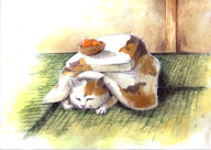 bowl cat closed_eyes food fruit kotatsu mugi_asaki orange original pun sleeping table traditional_media // 700x495 // 157KB