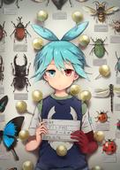 1boy :| antenna_hair beetle blue_eyes blue_hairx blue_vest bug butterfly character_name closed_mouth commentary dragonfly expressionless heterochromia highres holding insect ladybug looking_at_viewer male_focus nara_shizuku pin puyopuyo red_eyes rhinoceros_beetle shadow shirt short_sleeves sig_(puyopuyo) solo stag_beetle translated twitter_username upper_body vest wasp // 1448x2048 // 397.7KB